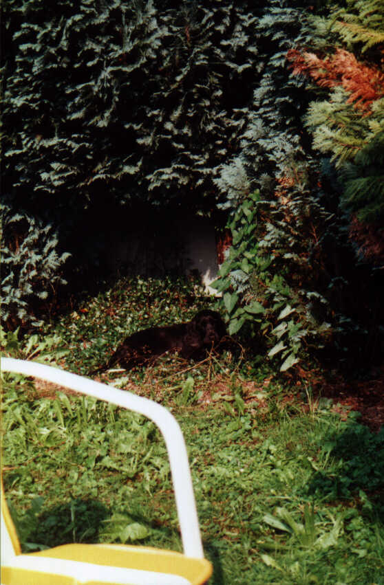 Vicky im Garten der Ferienwohnung